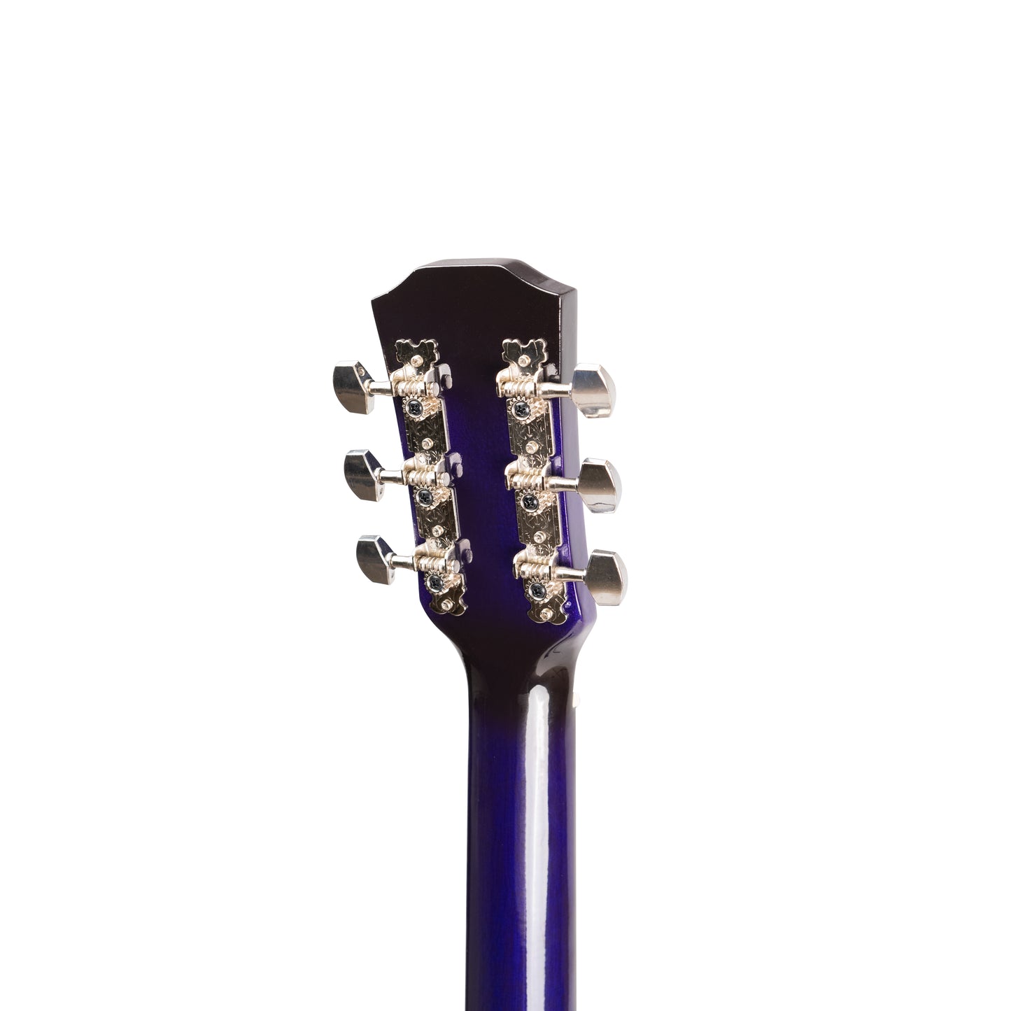 Torrins Beginner Series Acoustic Guitar: T38 -Violet | Glossy Finish
