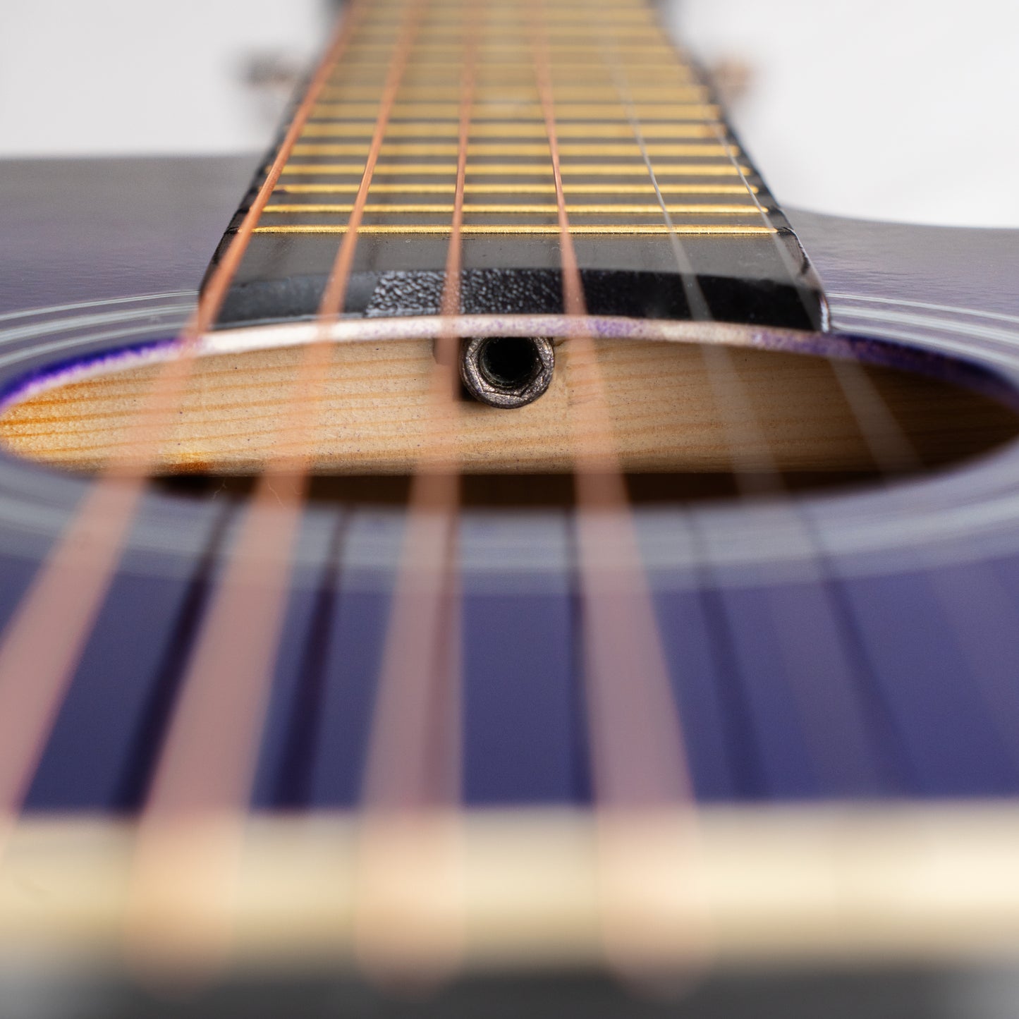 Torrins Beginner Series Acoustic Guitar: T38 -Violet | Glossy Finish