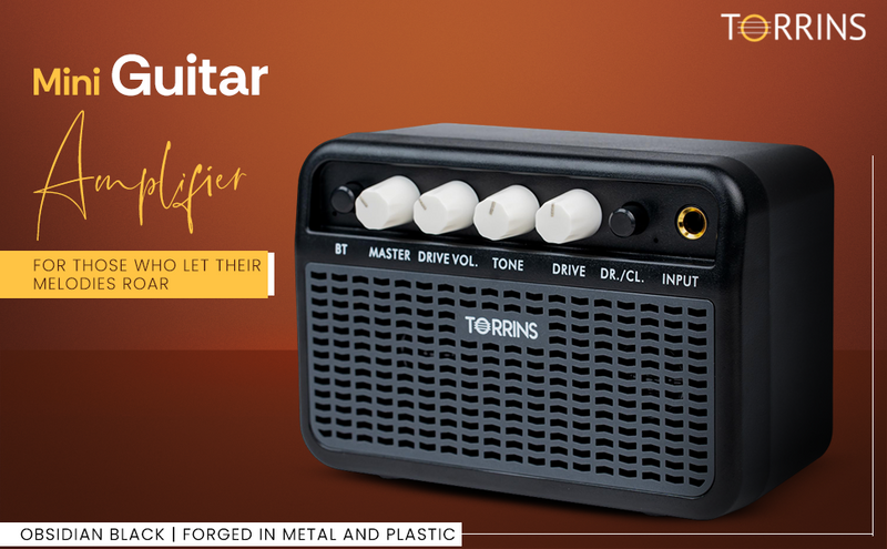 Torrins Mini Guitar Amplifier
