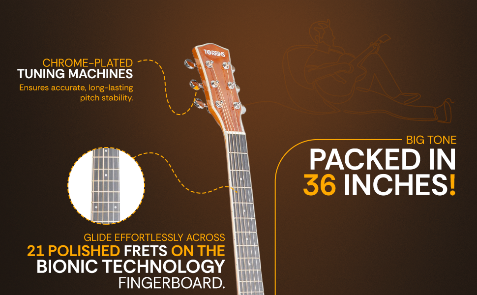 Torrins Progressa Series Acoustic Guitar: GS31