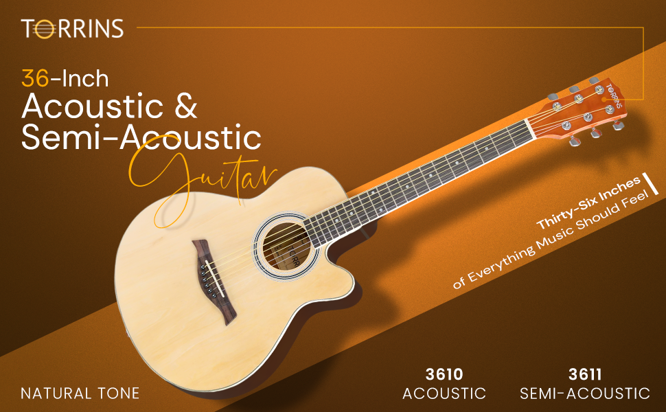 Torrins Progressa Series Guitar: 3610
