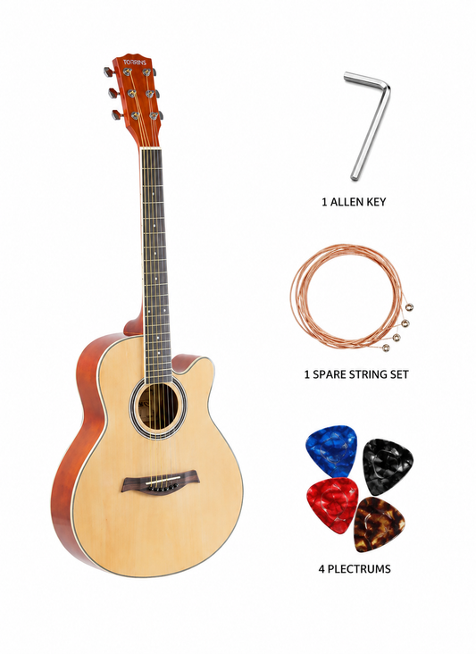 Torrins Progressa Series Guitar: 3610