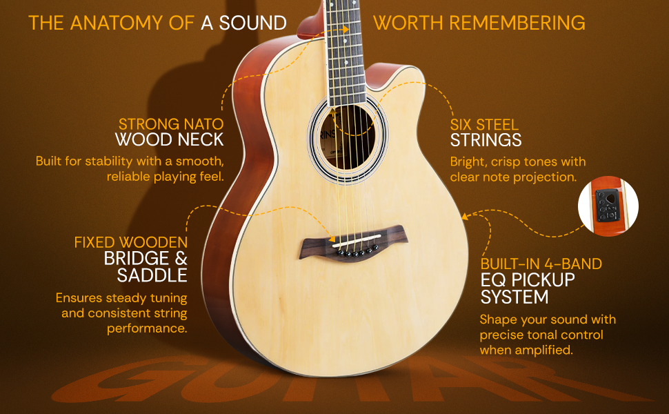 Torrins Progressa Series Guitar: 3610