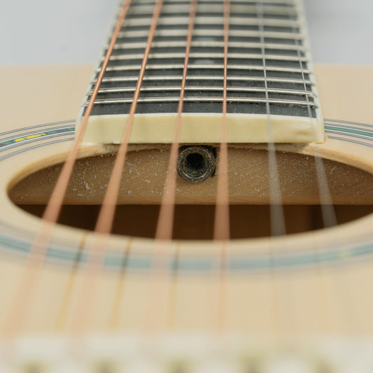 Torrins Progressa Series Guitar: 36H