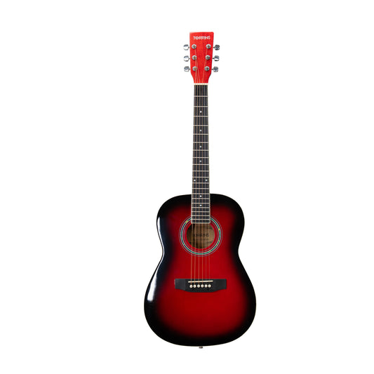 Torrins Progressa Series Guitar: 36H