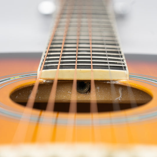 Torrins Progressa Series Guitar: 36H