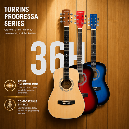 Torrins Progressa Series Guitar: 36H