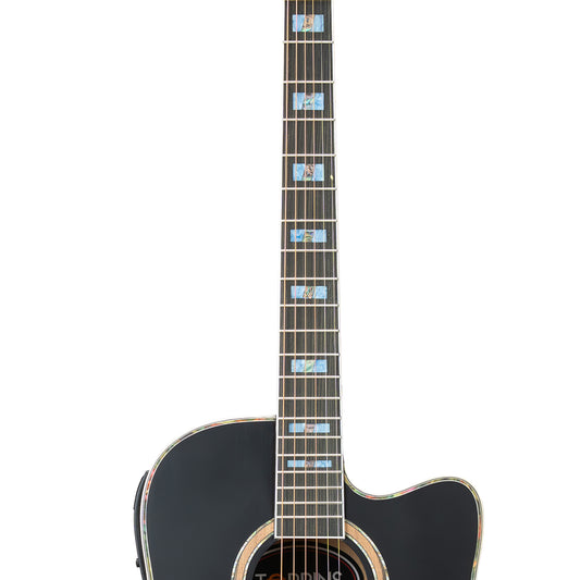 Torrins Elevate Series Guitar: 380C/380CE