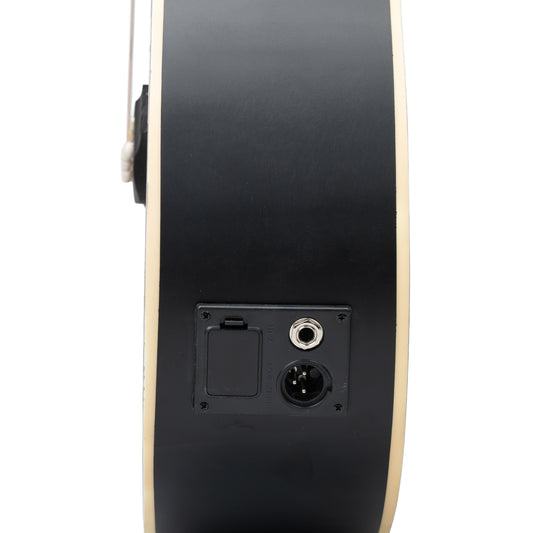 Torrins Elevate Series Guitar: 380C/380CE