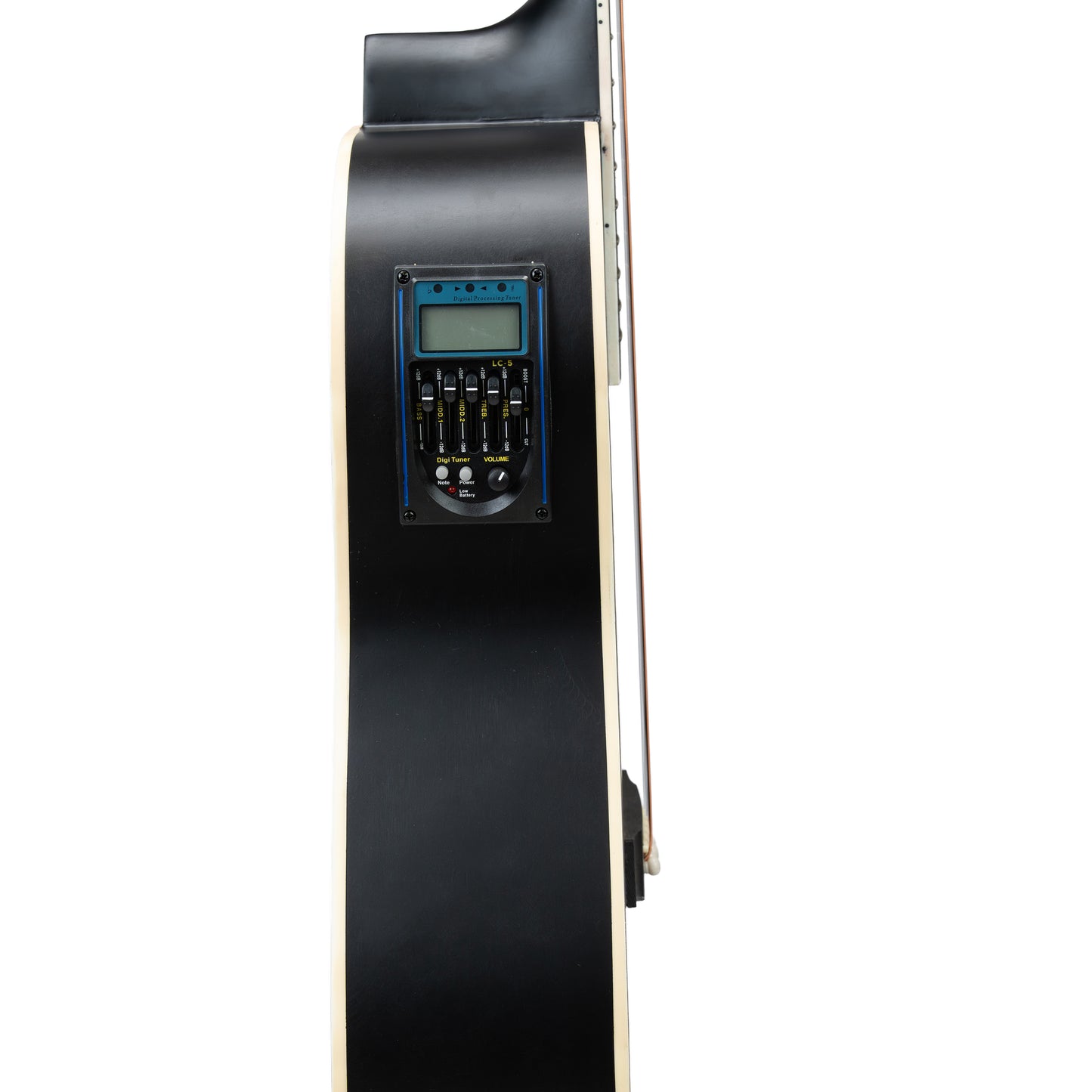 Torrins Elevate Series Guitar: 380C/380CE