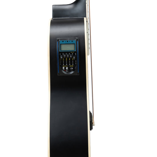 Torrins Elevate Series Guitar: 380C/380CE