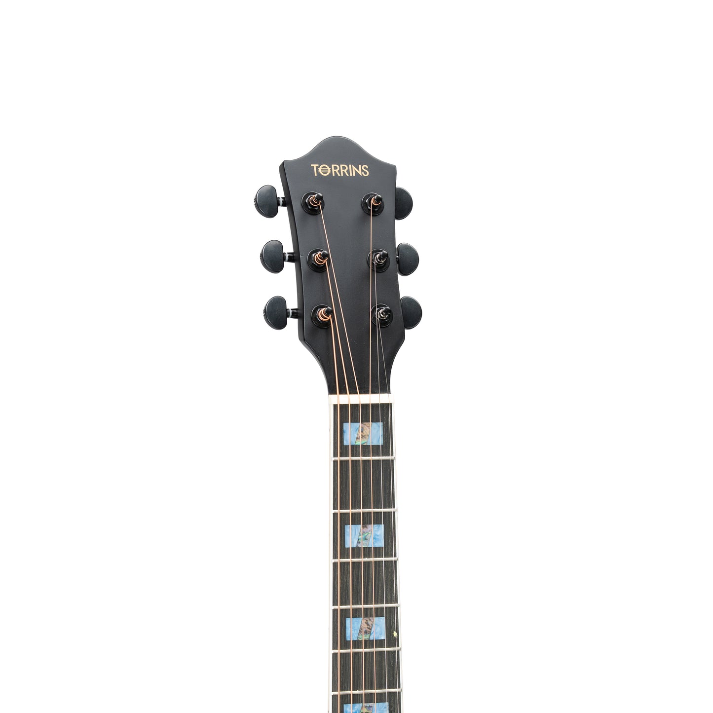 Torrins Elevate Series Guitar: 380C/380CE