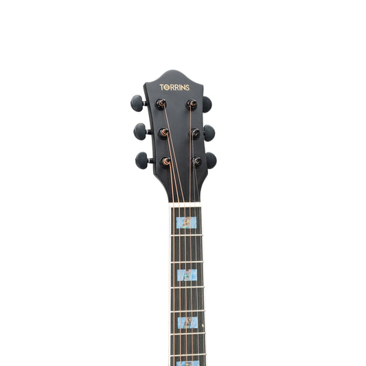 Torrins Elevate Series Guitar: 380C/380CE