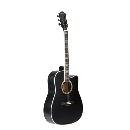 Torrins Elevate Series Guitar: 380C/380CE