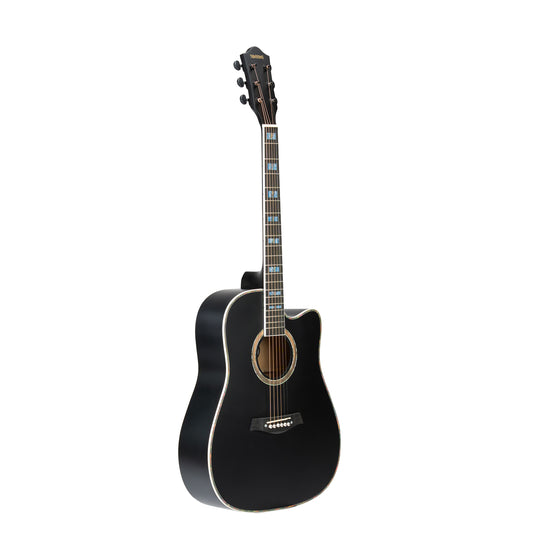 Torrins Elevate Series Guitar: 380C/380CE