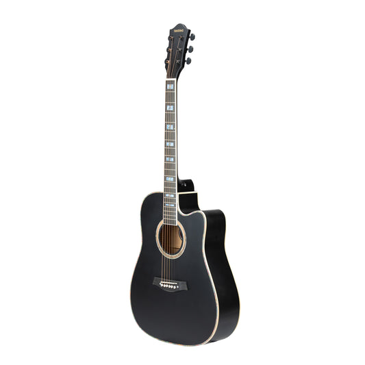 Torrins Elevate Series Guitar: 380C/380CE