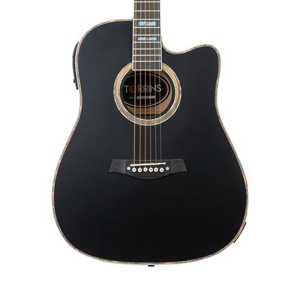 Torrins Elevate Series Guitar: 380C/380CE