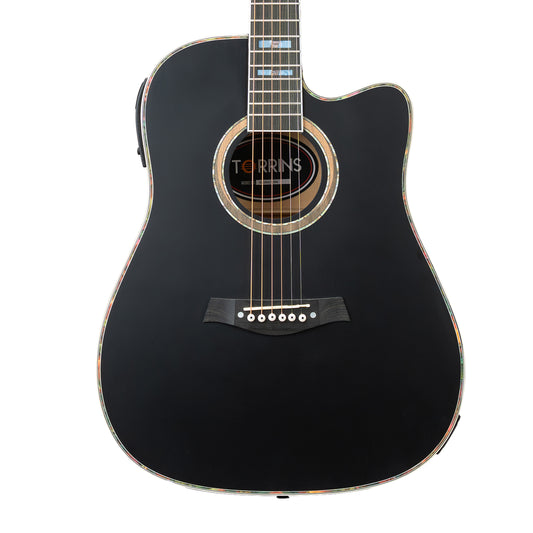 Torrins Elevate Series Guitar: 380C/380CE