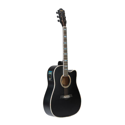Torrins Elevate Series Guitar: 380C/380CE