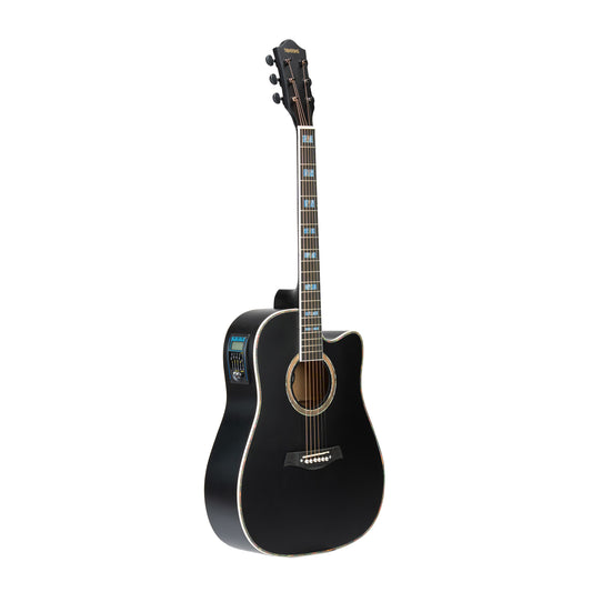 Torrins Elevate Series Guitar: 380C/380CE