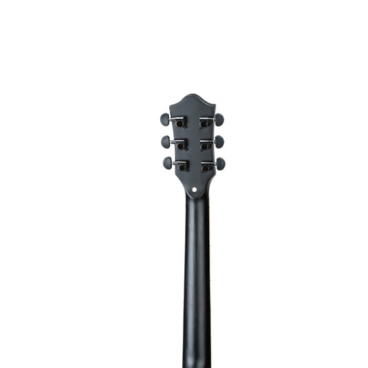 Torrins Elevate Series Guitar: 380C/380CE