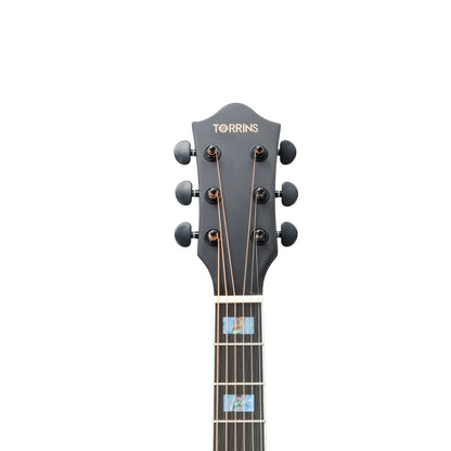 Torrins Elevate Series Guitar: 380C/380CE
