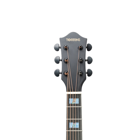 Torrins Elevate Series Guitar: 380C/380CE