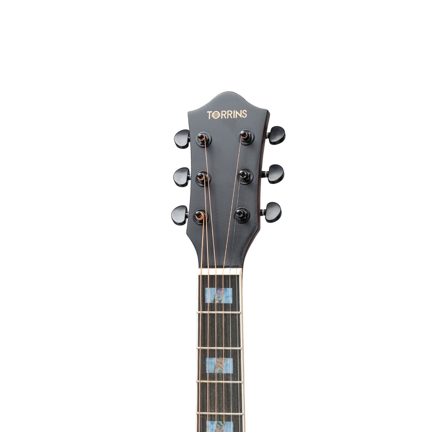 Torrins Elevate Series Guitar: 380C/380CE