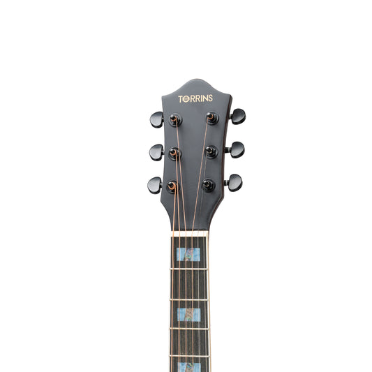 Torrins Elevate Series Guitar: 380C/380CE