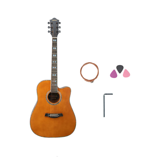 Torrins Elevate Series Guitar: 380C/380CE