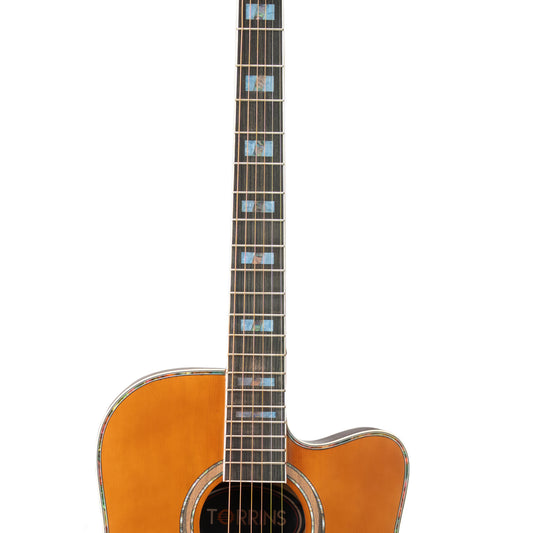 Torrins Elevate Series Guitar: 380C/380CE