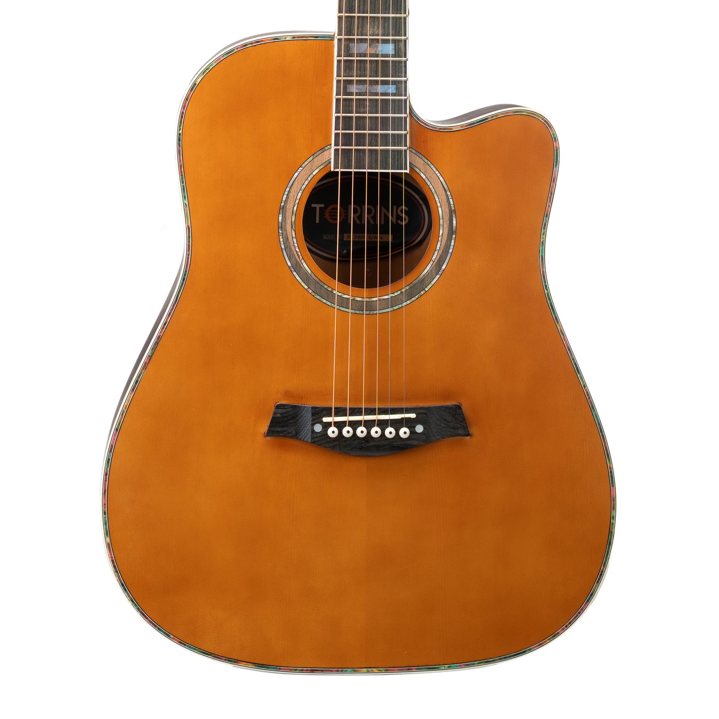 Torrins Elevate Series Guitar: 380C/380CE