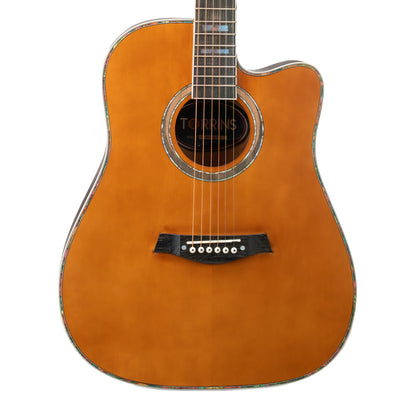 Torrins Elevate Series Guitar: 380C/380CE