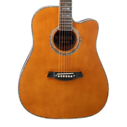 Torrins Elevate Series Guitar: 380C/380CE
