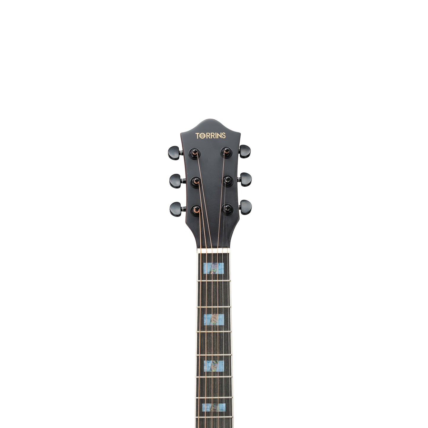 Torrins Elevate Series Guitar: 380C/380CE