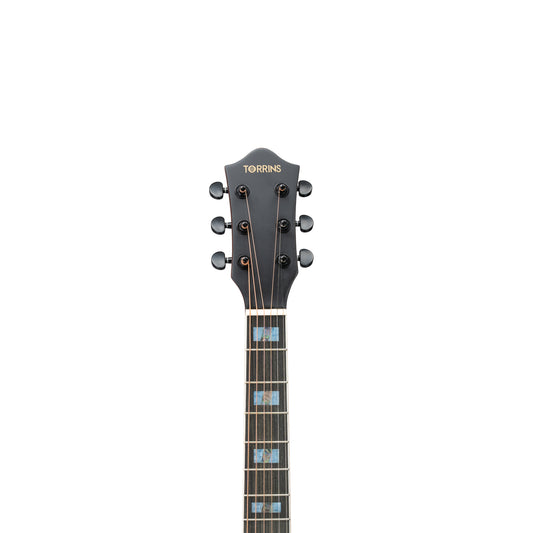 Torrins Elevate Series Guitar: 380C/380CE