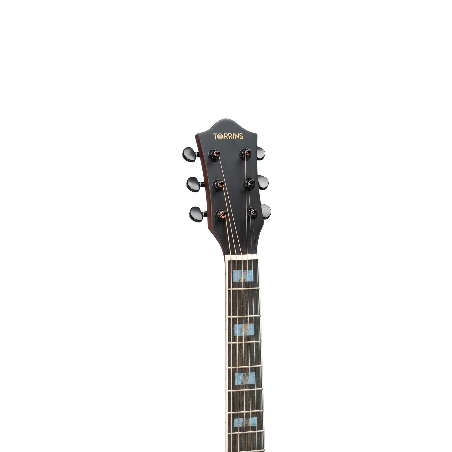 Torrins Elevate Series Guitar: 380C/380CE