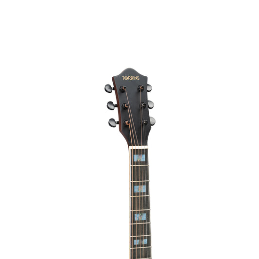 Torrins Elevate Series Guitar: 380C/380CE