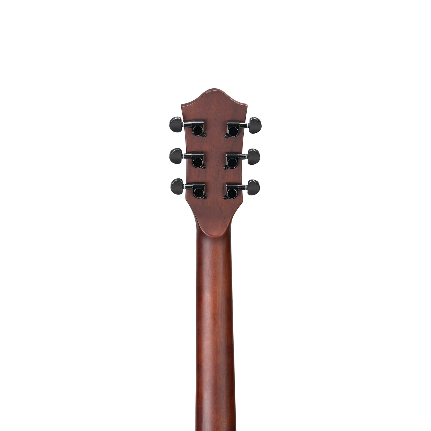 Torrins Elevate Series Guitar: 380C/380CE
