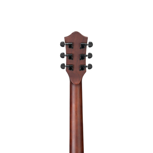 Torrins Elevate Series Guitar: 380C/380CE