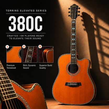 Torrins Elevate Series Guitar: 380C/380CE