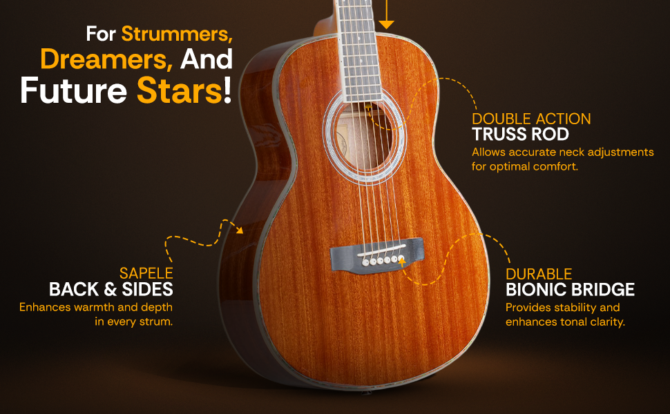 Torrins Progressa Series Acoustic Guitar: GS31