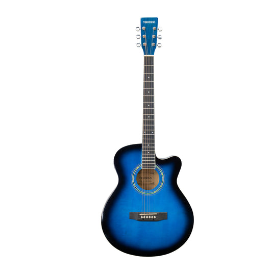 Torrins Progressa Series Guitar: 40H