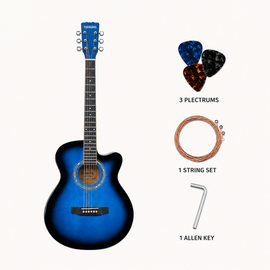 Torrins Progressa Series Guitar: 40H