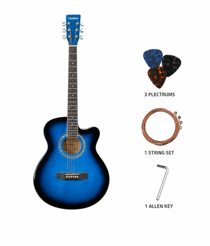 Torrins Progressa Series Guitar: 40H