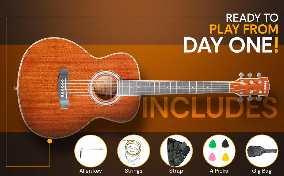 Torrins Progressa Series Acoustic Guitar: GS31
