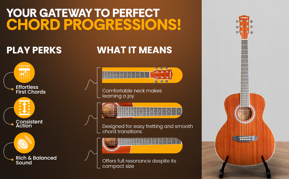 Torrins Progressa Series Acoustic Guitar: GS31