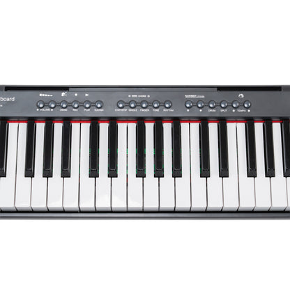 Novatone NT-100 61 Keys Musical Keyboard with 199 Tones, 199 Rhythms, 59 Demo Songs, Recording & LED Display