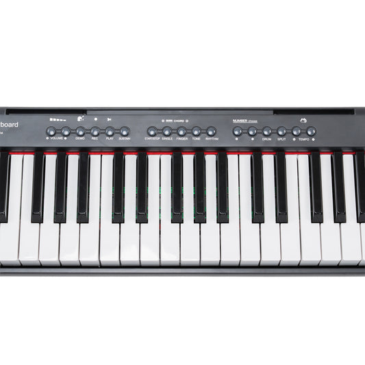 Novatone NT-100 61 Keys Musical Keyboard with 199 Tones, 199 Rhythms, 59 Demo Songs, Recording & LED Display