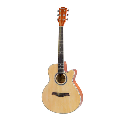 Torrins Progressa Series Guitar: 3610